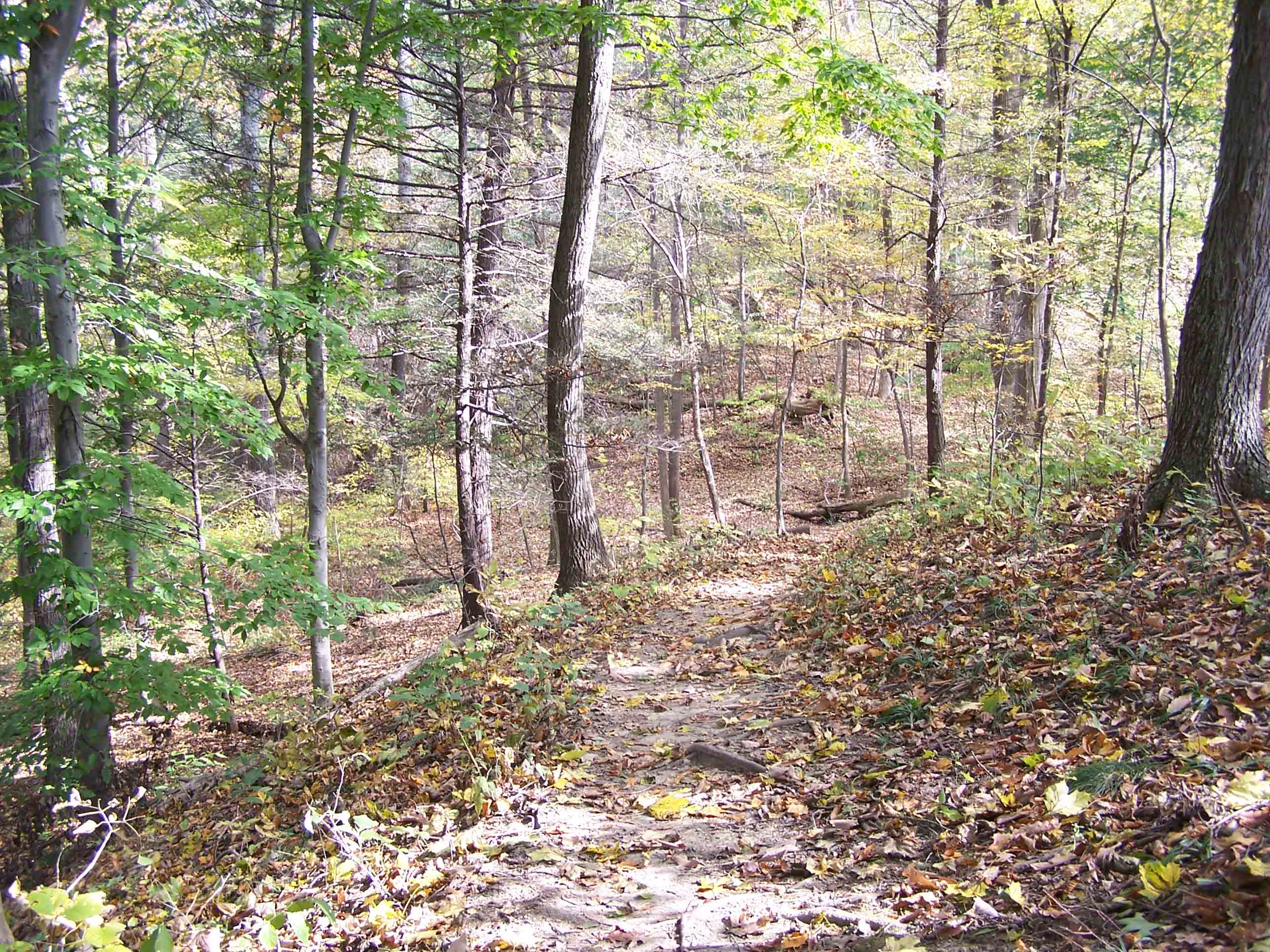 Trail south of PA 944. Courtesy at@rohland.org
